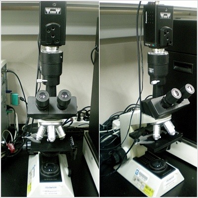 Microscope Sets